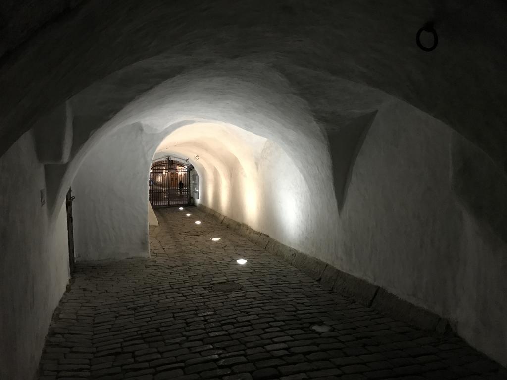 Old Bishop'S House Daire Tallinn Dış mekan fotoğraf